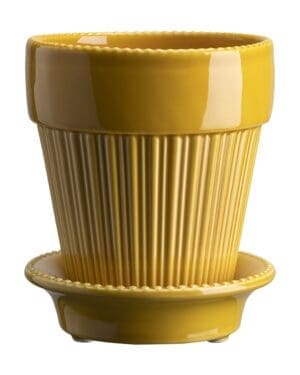 Simona Amber Yellow
